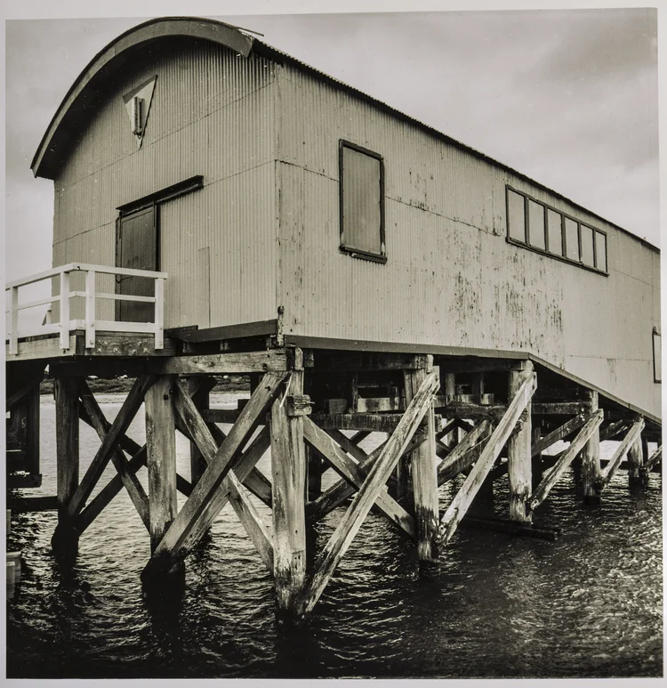 Black & White Analogue photograph