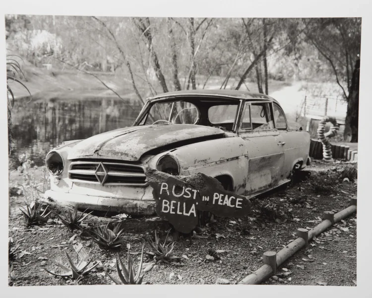 Black & White Analogue photograph