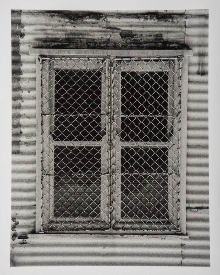 Black & White Analogue photograph