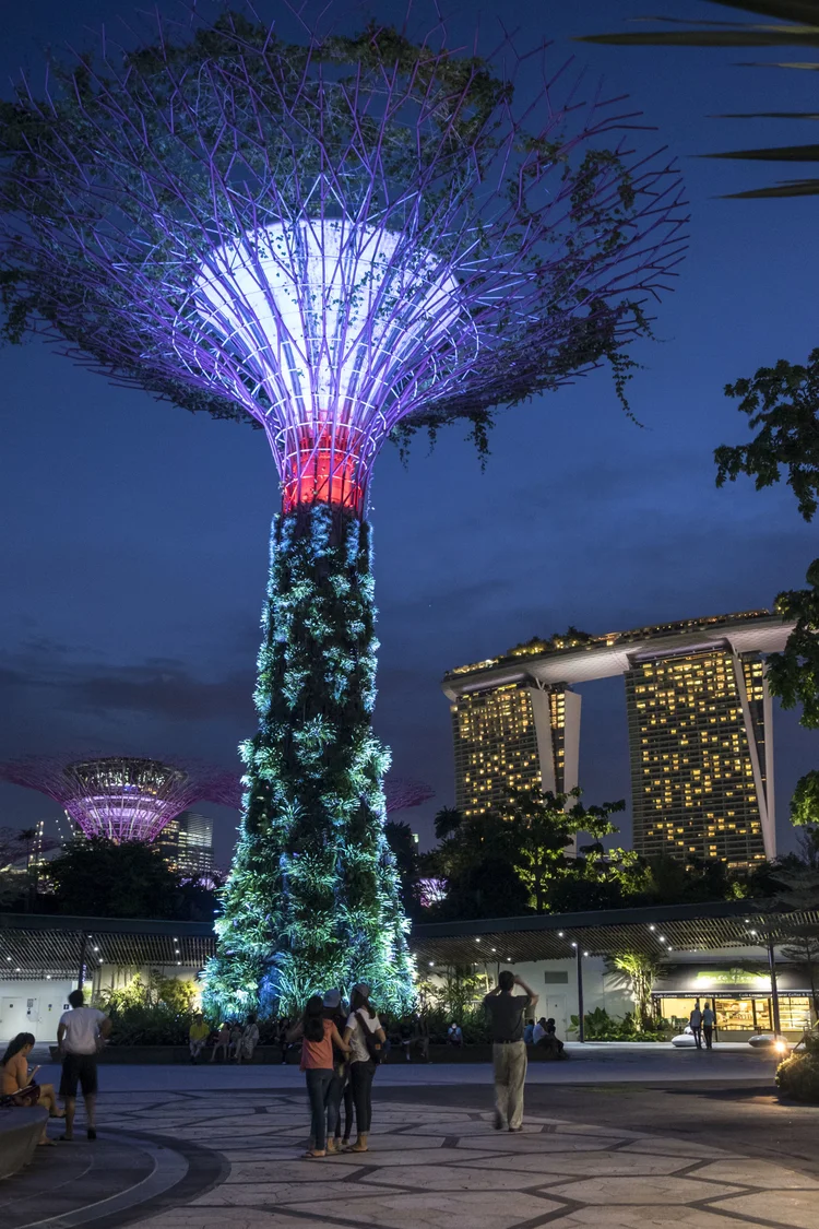 Hong Kong and Singapore photograph