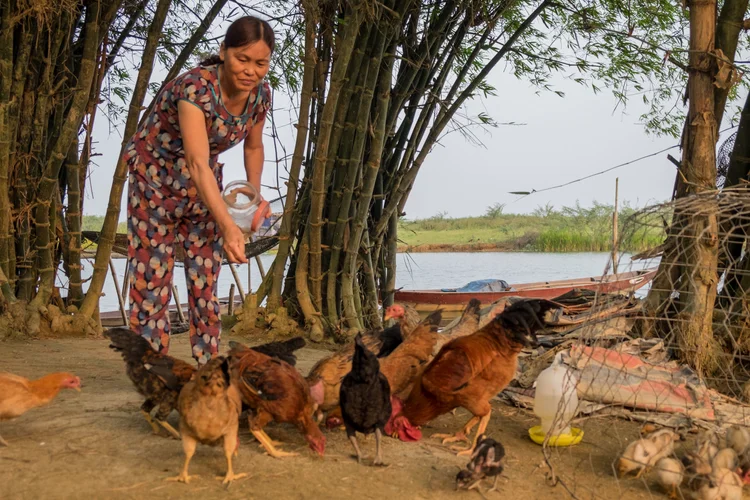 Vietnam photograph