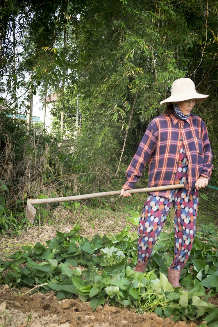 Vietnam photograph