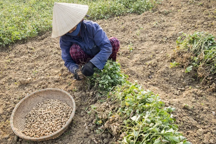 Vietnam photograph